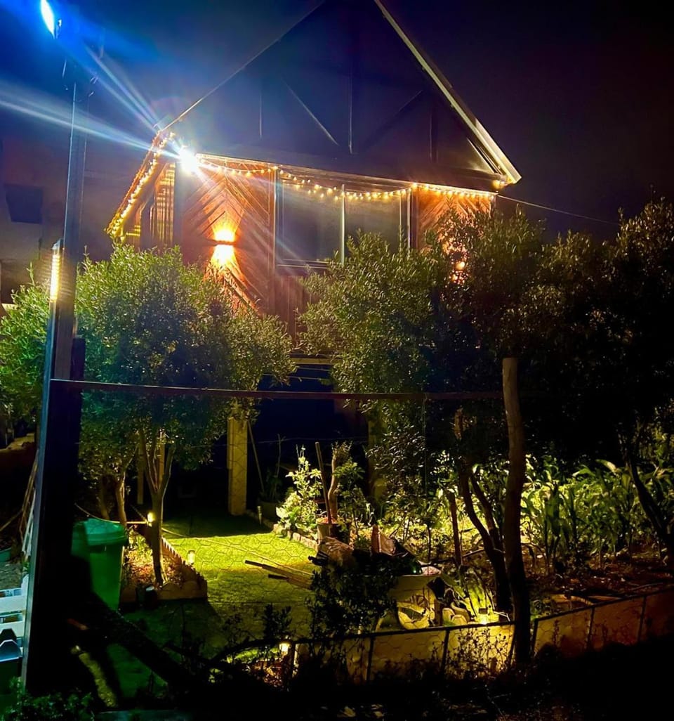 Night, Garden, Garden view