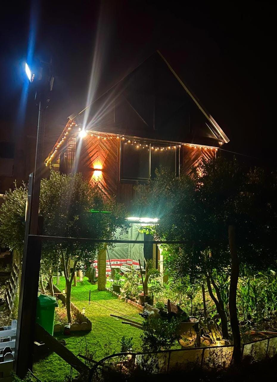 Night, Garden, Garden view