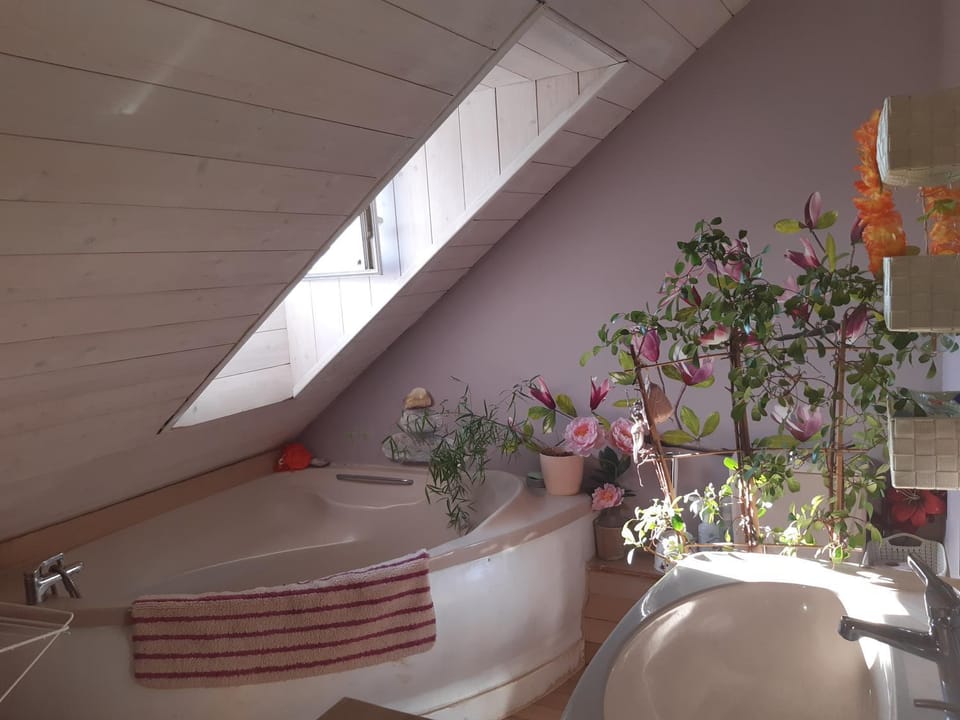 Bien être la violette Vacation rental in St-Malo