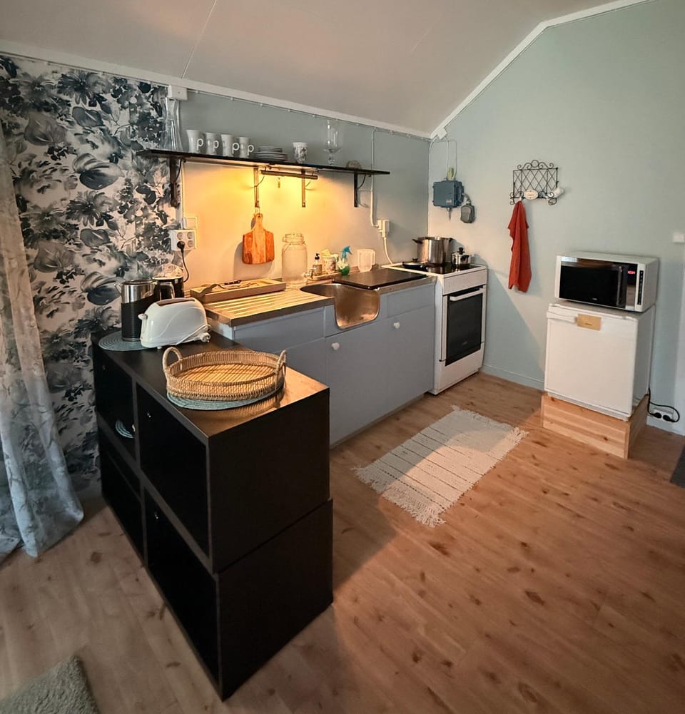 Kitchen or kitchenette, stove, toaster
