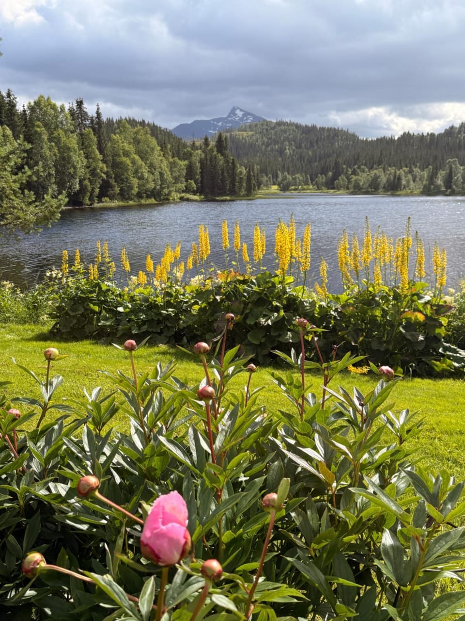 Garden view, Lake view, Mountain view