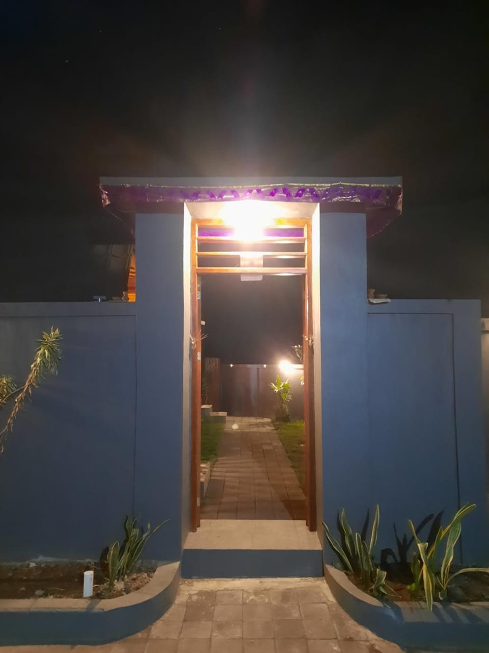 Night