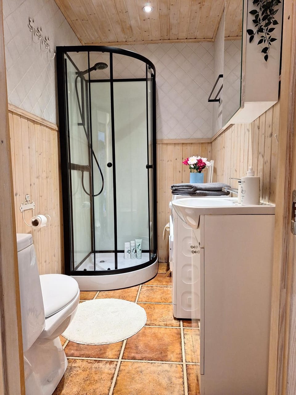 Shower, Toilet, towels