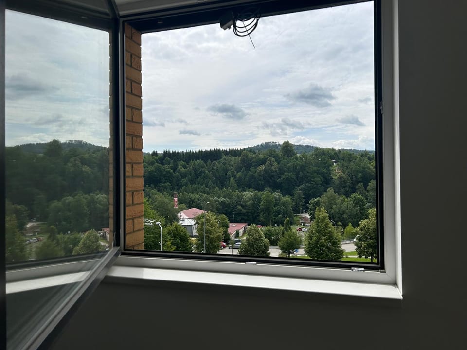 Garden view