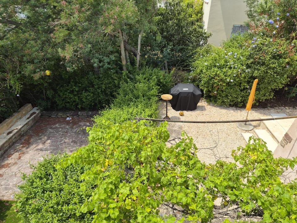 Garden, Garden, Garden view
