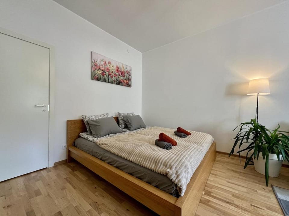 Self check in Cozy apartment near by Tallinn bus station Apartment in Tallinn