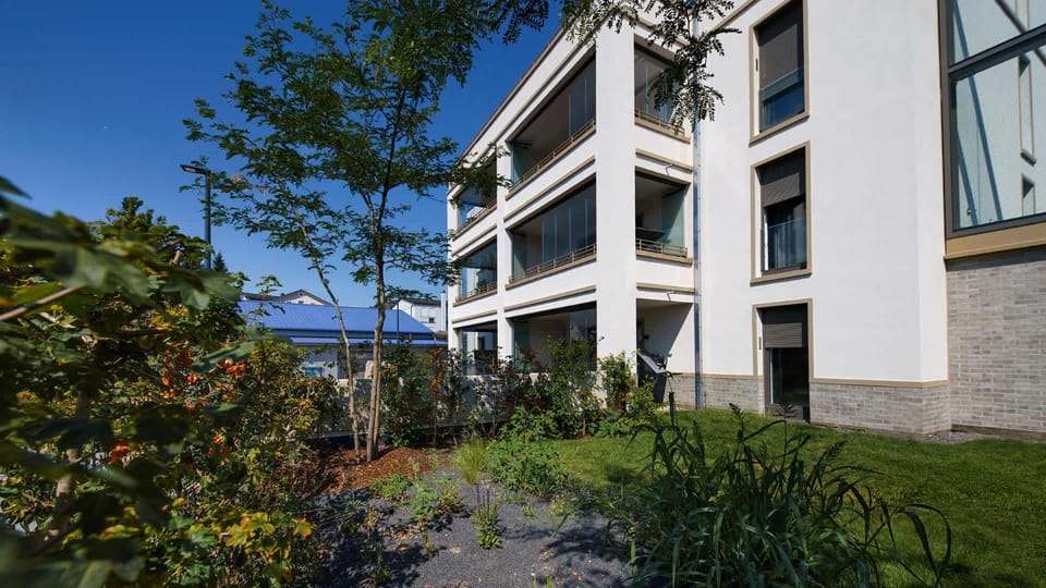 Property building, Garden, Garden view