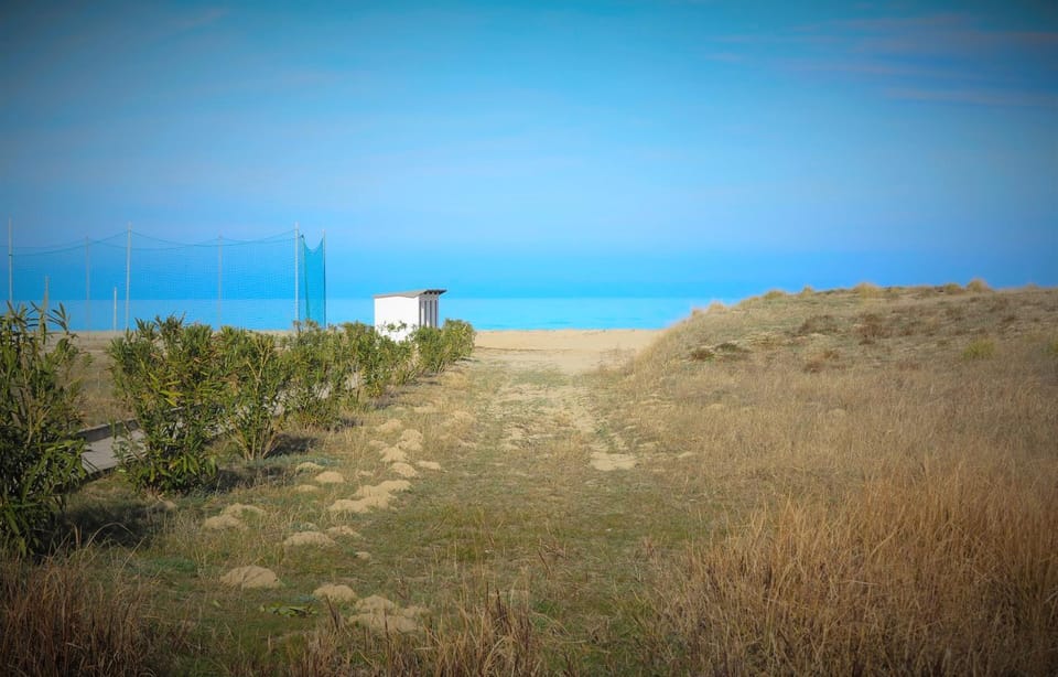 Sea view