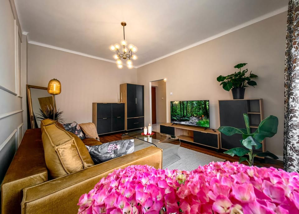 Apartament Za Ratuszem Apartment in Poland