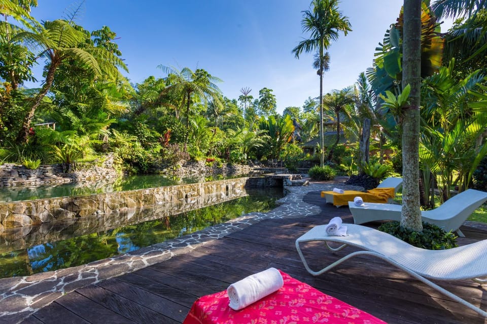 Swimming pool, Swimming pool