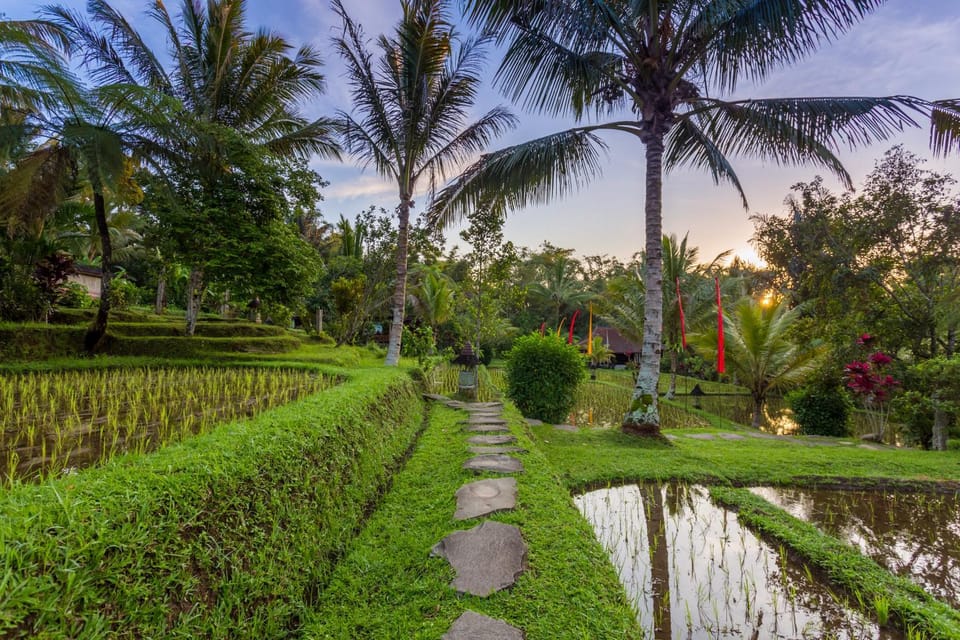 Day, Natural landscape, Garden, Garden view
