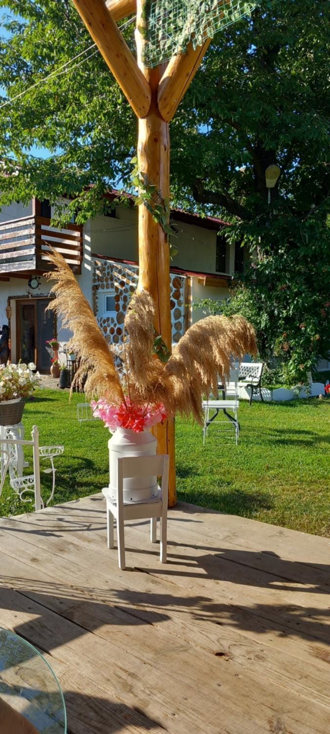 Casa Verde Nature lodge in Romania