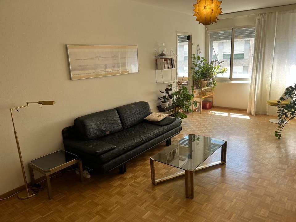 Chez Alice, Plainpalais Rue de Carouge Apartment in Geneva