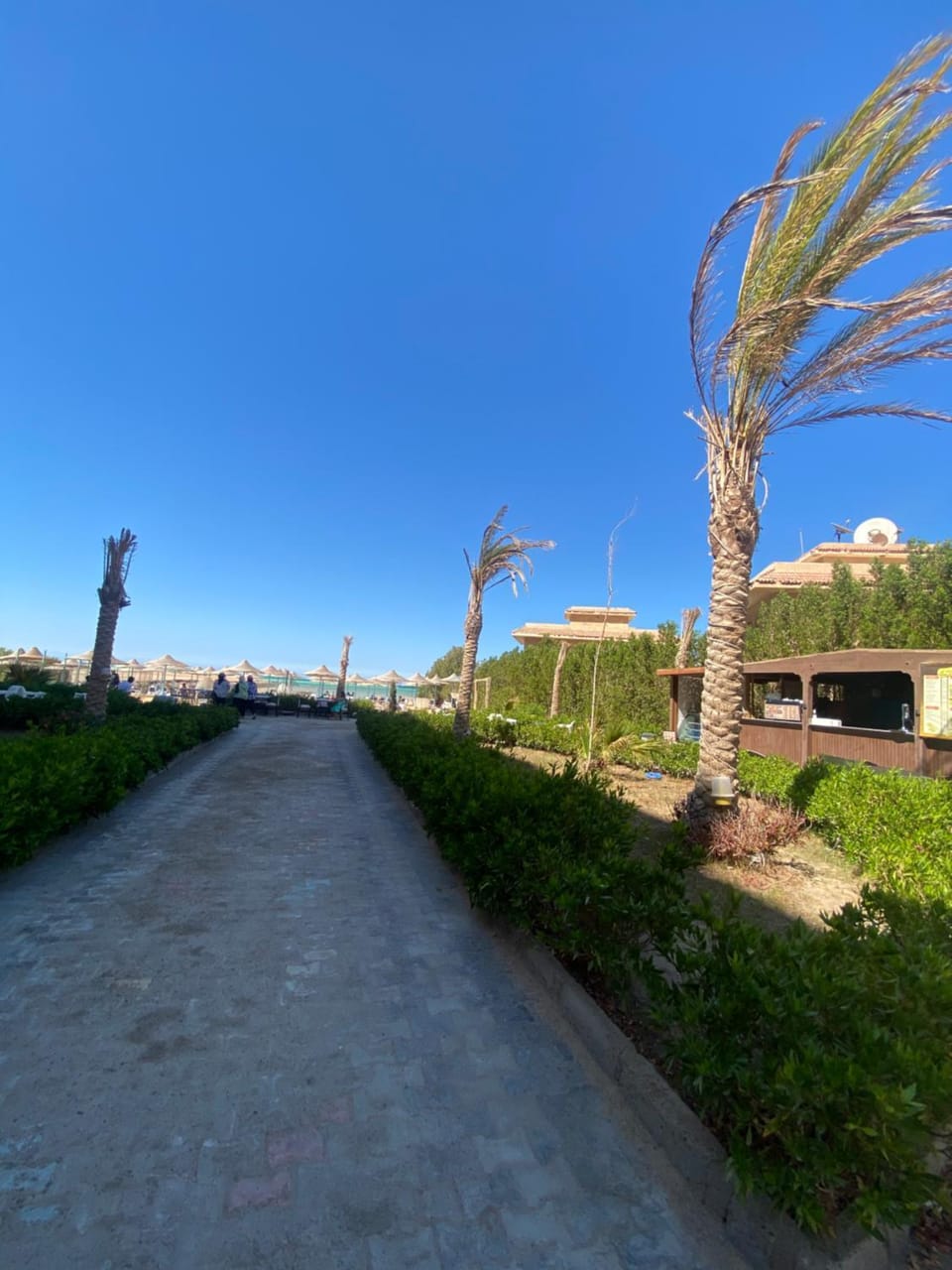 Fiesta Resort Al ahyaa Apartment in Hurghada
