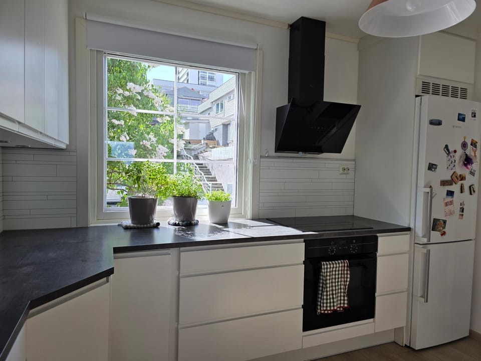 Kitchen or kitchenette, dishwasher, oven, stove