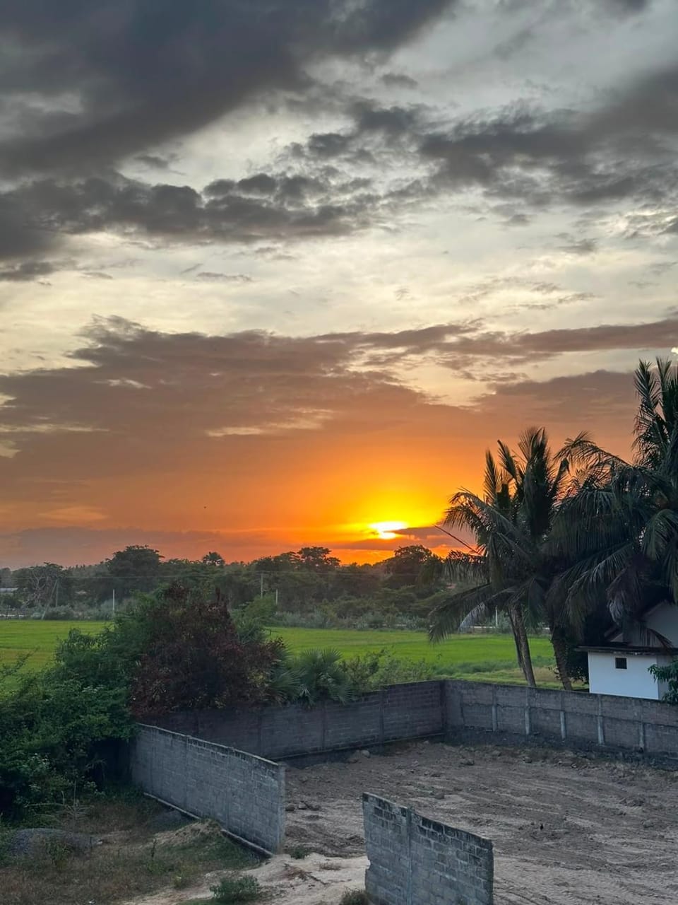 Day, Sea view, Sunset
