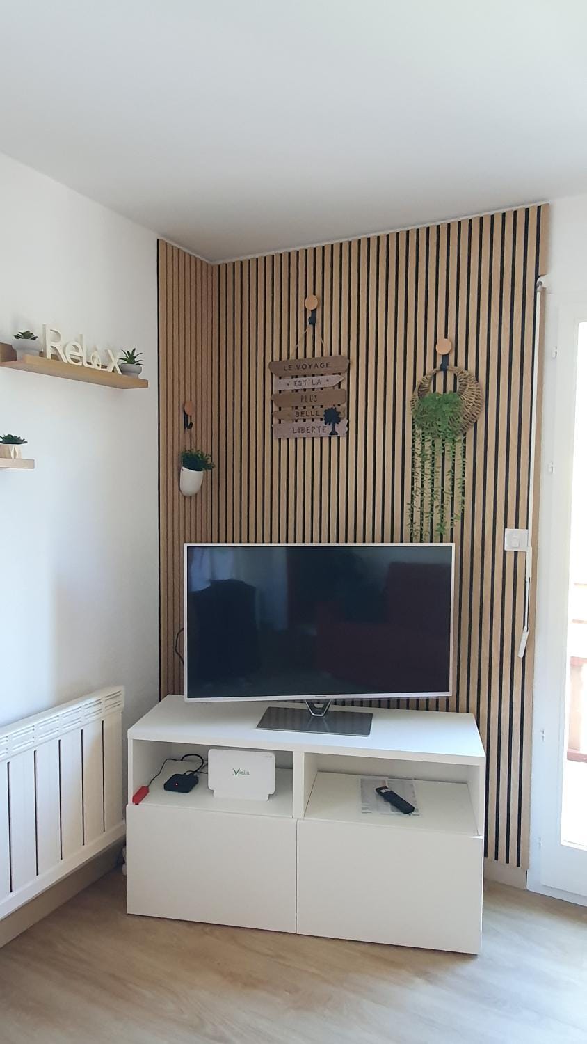 TV and multimedia