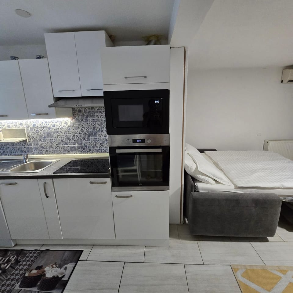 Pri tetki 2 Apartment in Slovenia