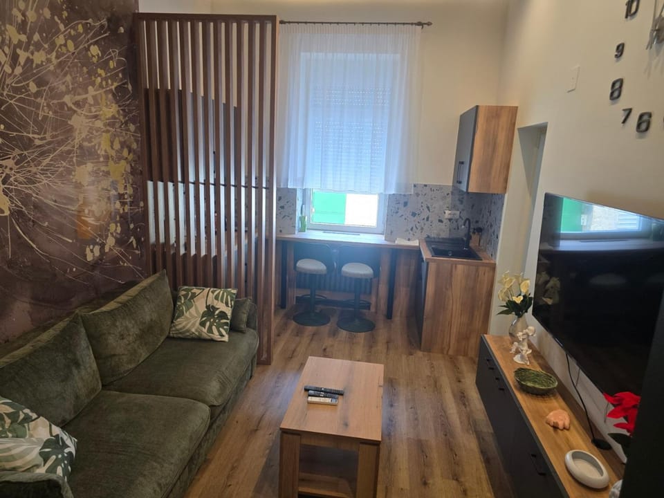Apartmani Kukucka, Extra Sredjeno, Dnevna soba i kupatilo, 2 osobe Apartment in Novi Sad