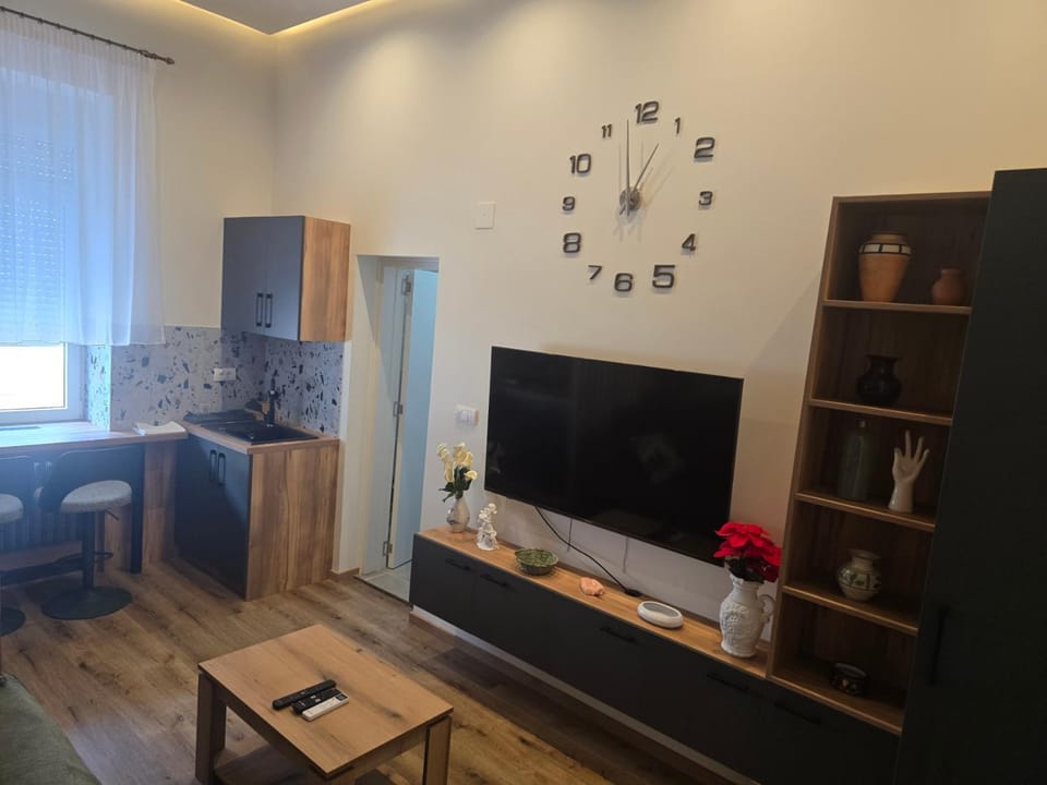Apartmani Kukucka, Extra Sredjeno, Dnevna soba i kupatilo, 2 osobe Apartment in Novi Sad