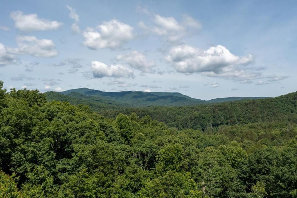 Black Bear Lodge House in Georgia