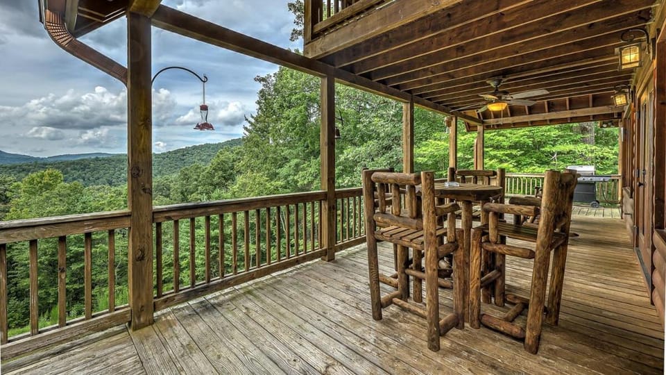 Black Bear Lodge House in Georgia