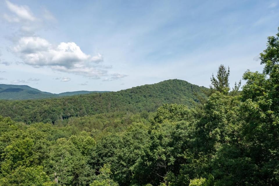 Black Bear Lodge House in Georgia