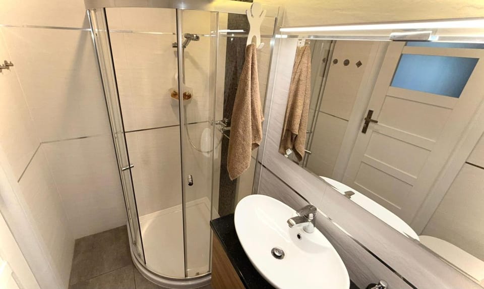 Shower, Toilet, Bathroom, towels