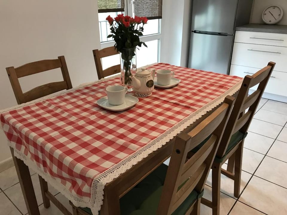 Gliwice City Center Beautiful and spacious apt Apartment in Poland