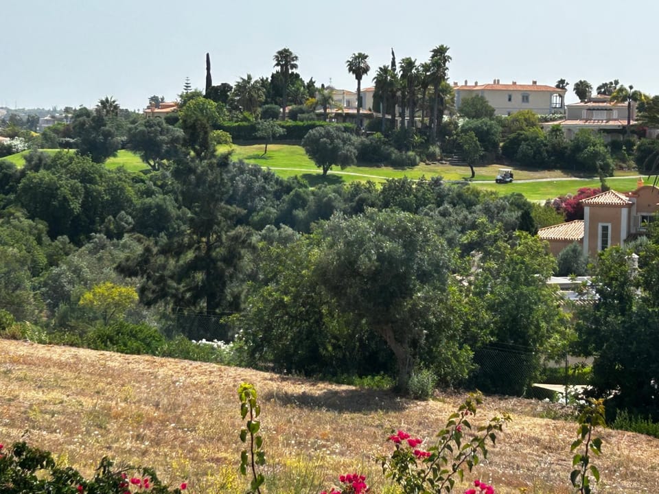 Landmark view