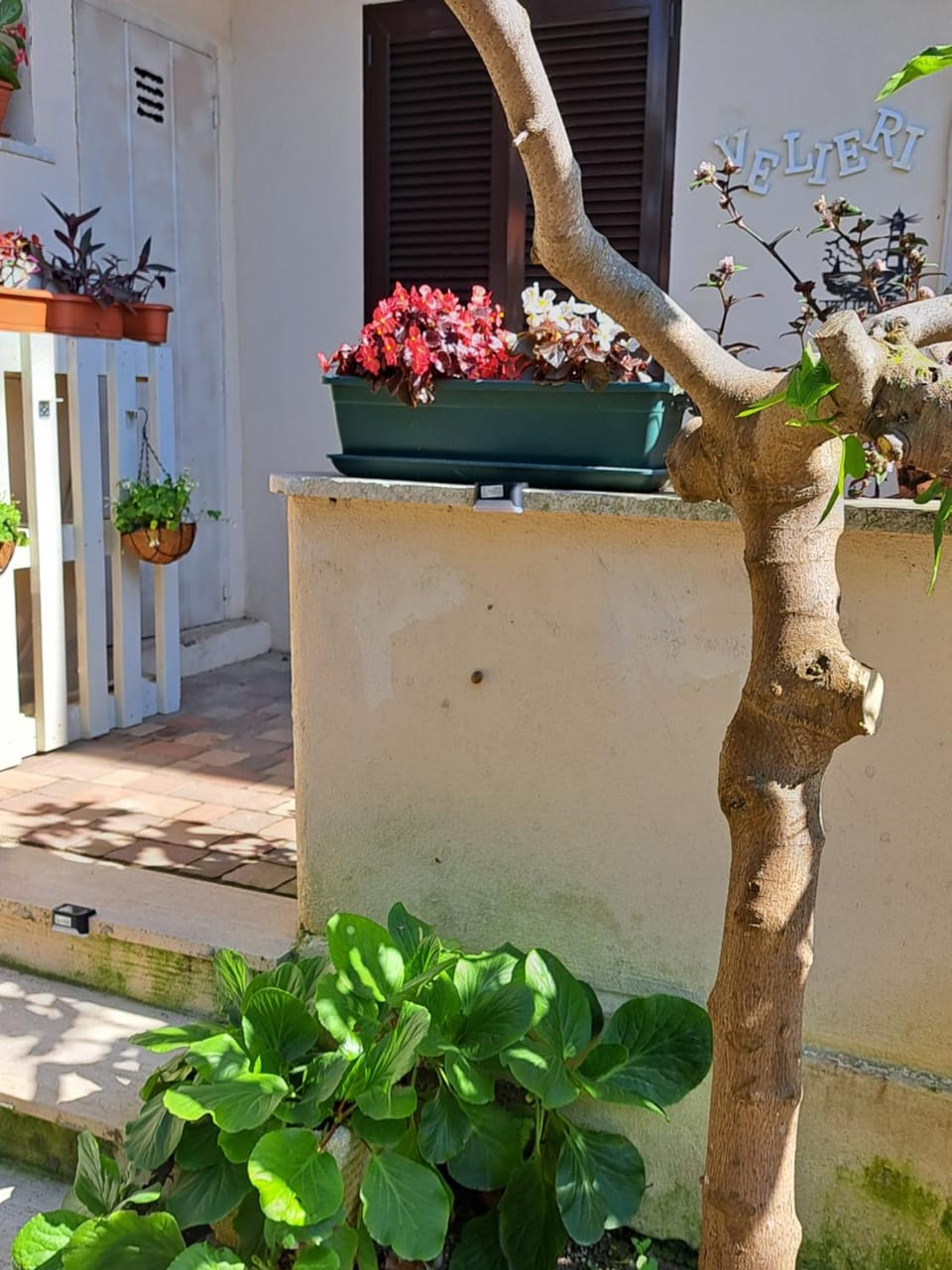 Garden, Inner courtyard view