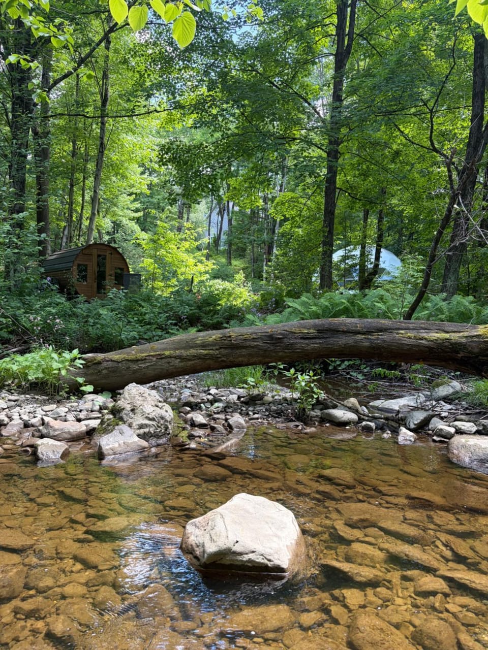 Le Dôme, nature, ressourcement et sauna Luxury tent in Lac-Brome