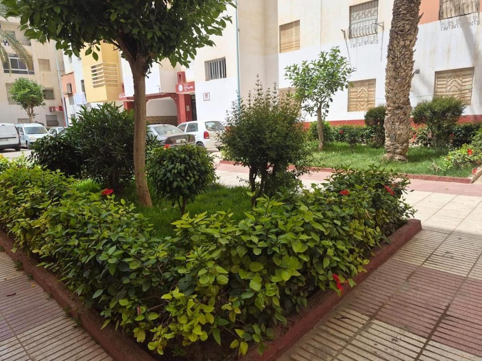 Garden view