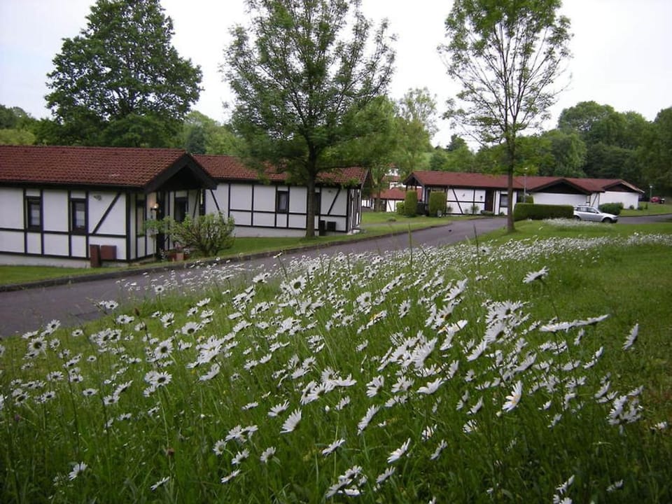 Neighbourhood, Natural landscape, View (from property/room), Garden view