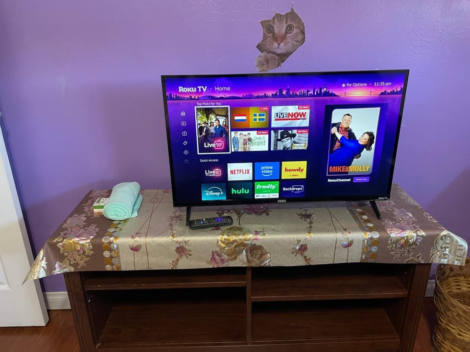 TV and multimedia