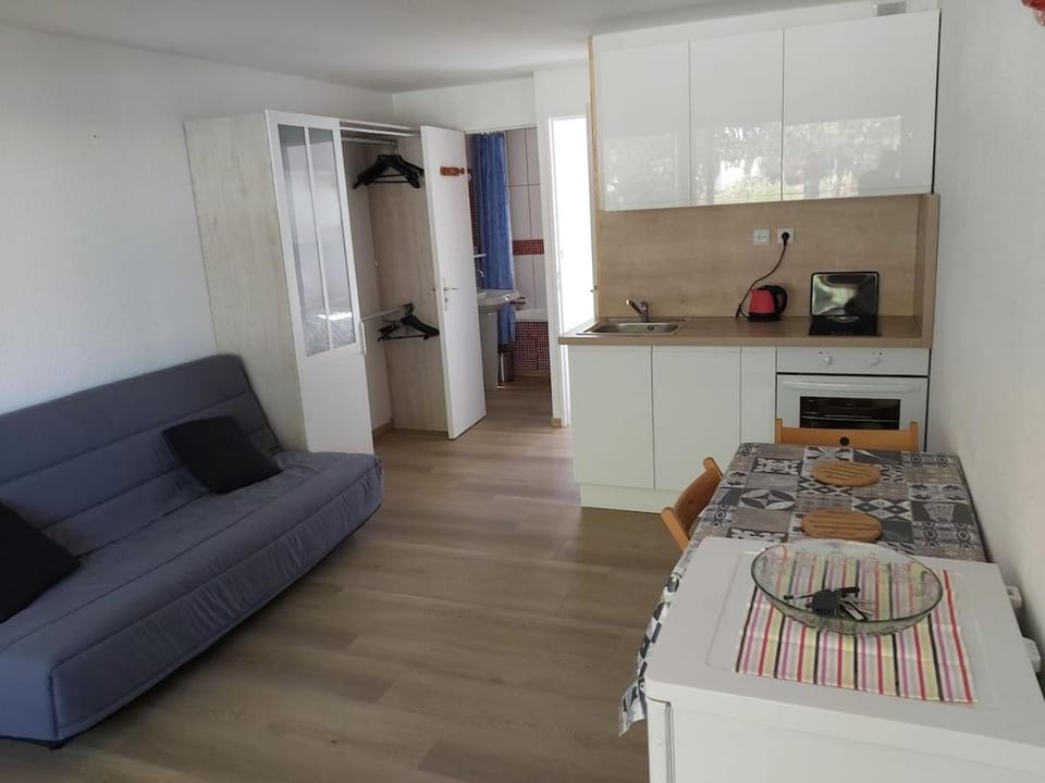 Port d'attache Apartment in Saint-Cyprien