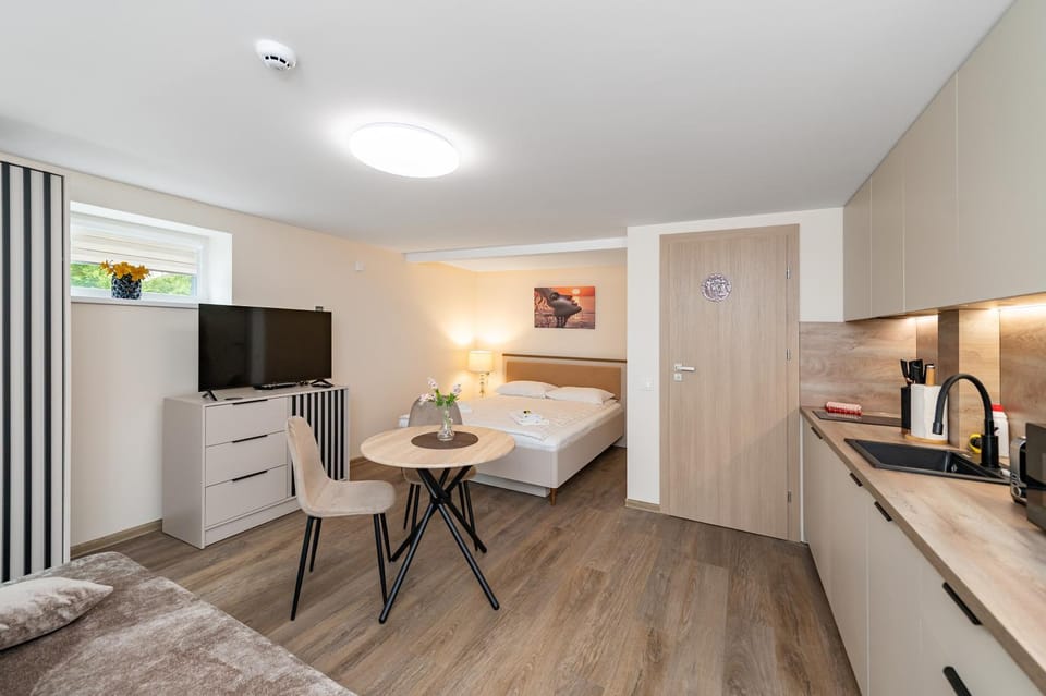 Bed, TV and multimedia, Coffee/tea facilities, Kitchen or kitchenette, Living room, Photo of the whole room, Seating area, Dining area, Bedroom, pet friendly, stove