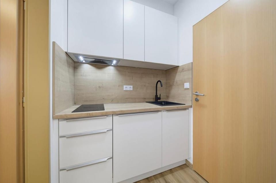 Studio 2 near the Main Train Station Apartment in Prague