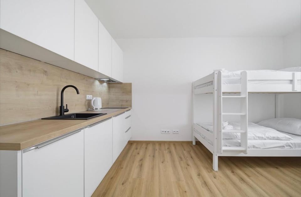 Studio 3 near the Main Train Station Apartment in Prague