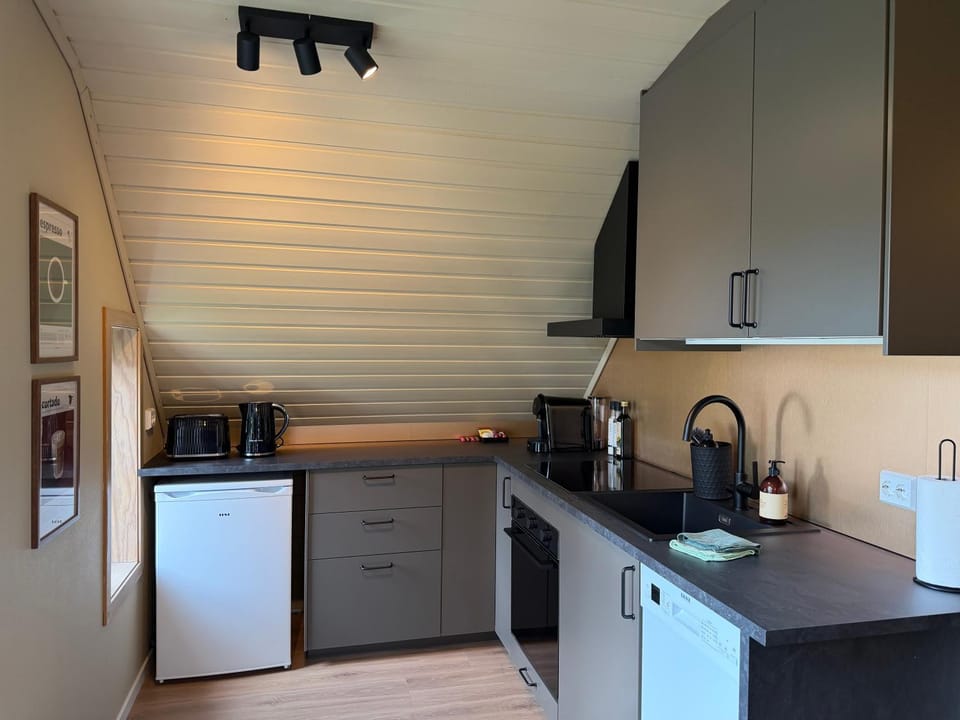 Coffee/tea facilities, Kitchen or kitchenette, dishwasher, oven, stove, toaster