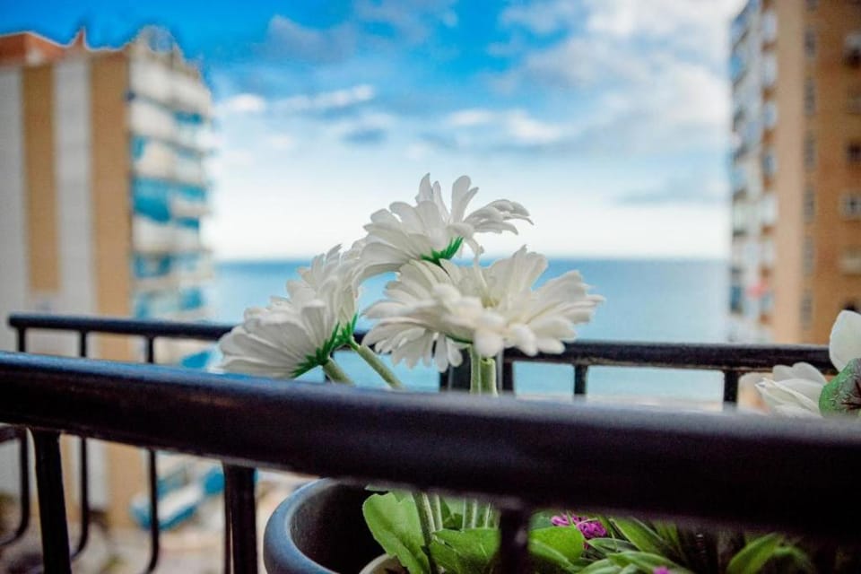 Holiday home by the sea Apartment in Alicante