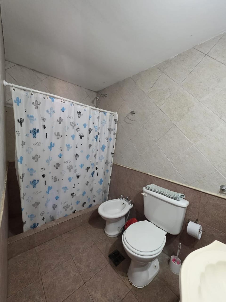 Shower, Toilet, Bathroom, bidet