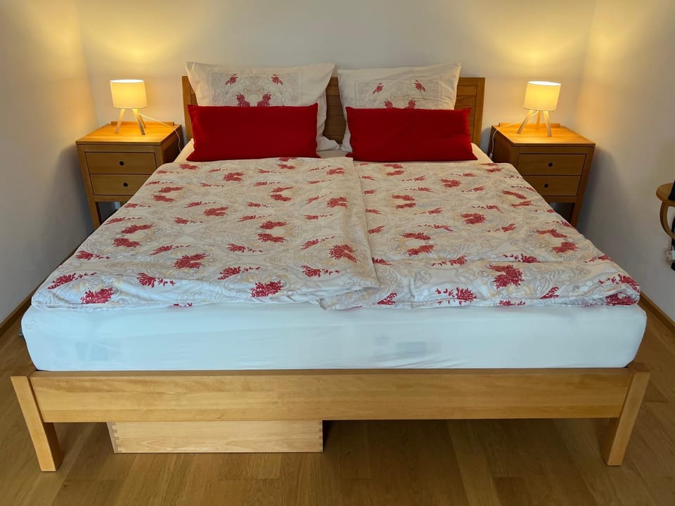 Garconniere mit Wohlfühlcharakter Apartment in Graz
