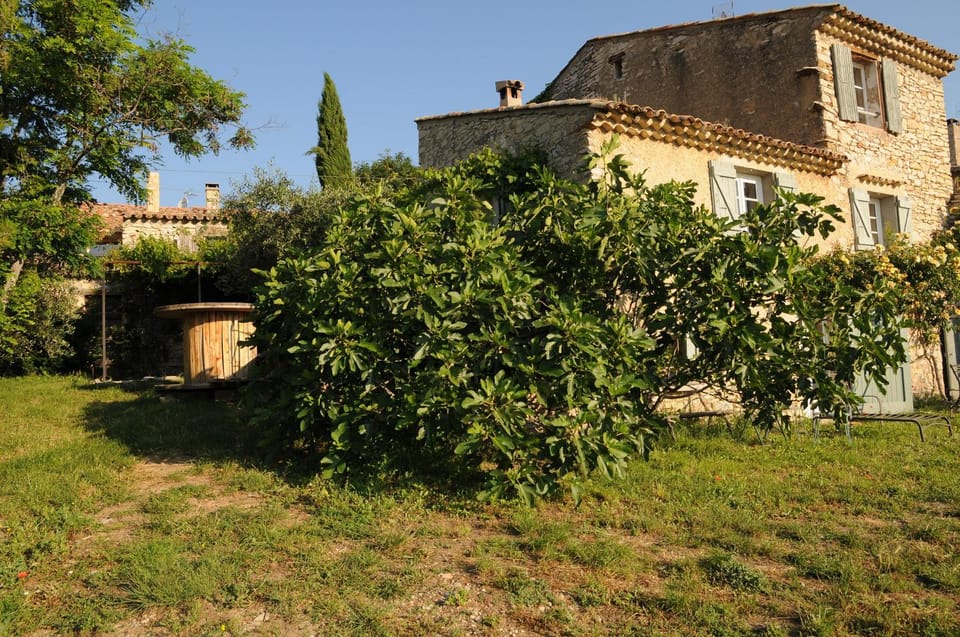 Garden, Garden view, Landmark view