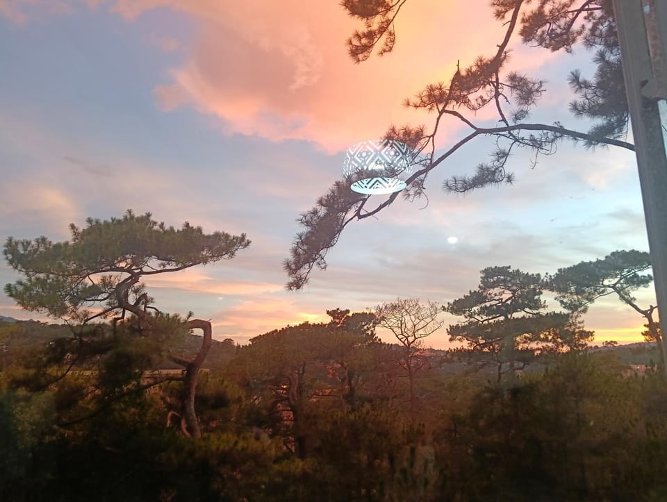 View (from property/room)