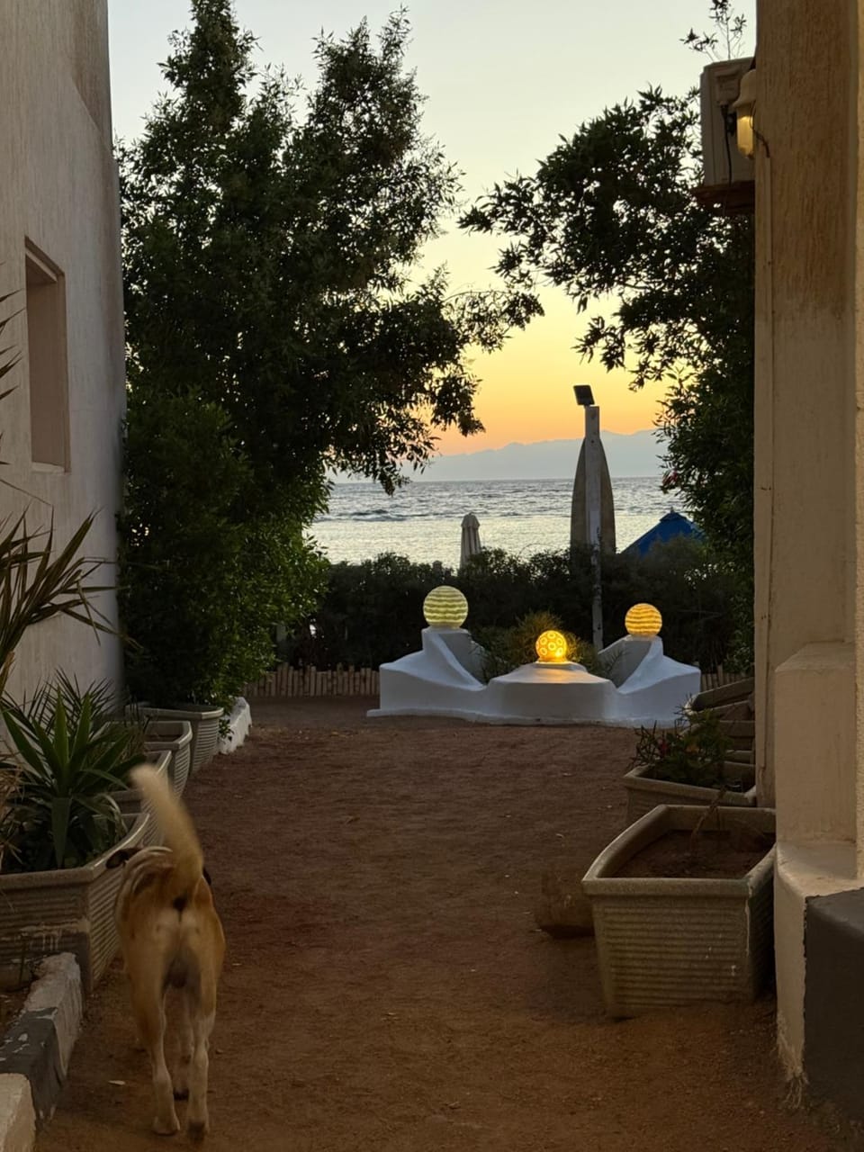 Bedro Guest House Wooden Cabin 30 Sec Beach Cabin in South Sinai Governorate
