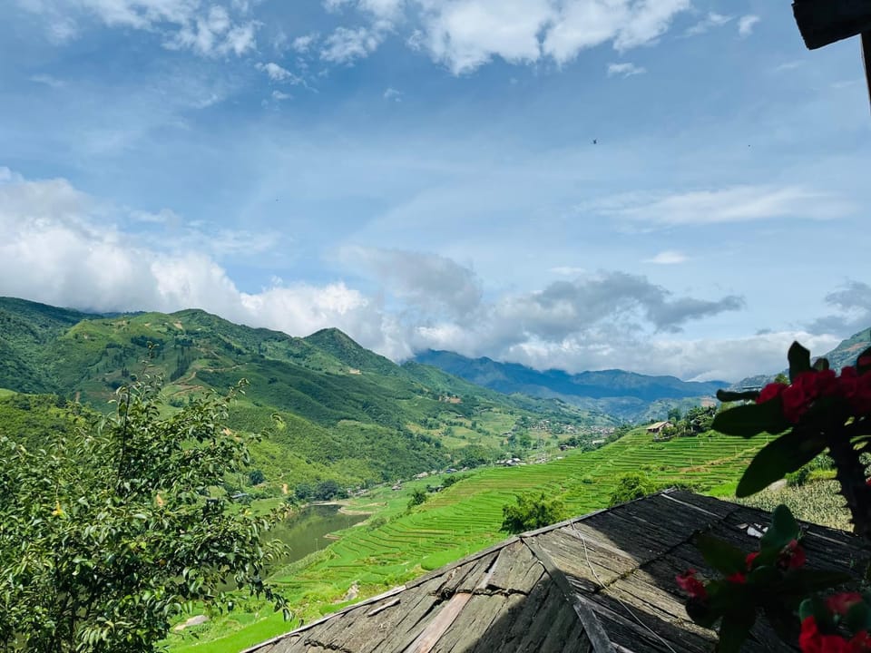 Natural landscape