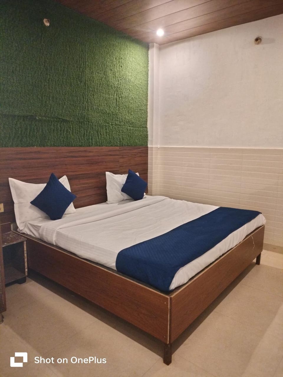 Hotel grand Vista Bed and Breakfast in Lucknow