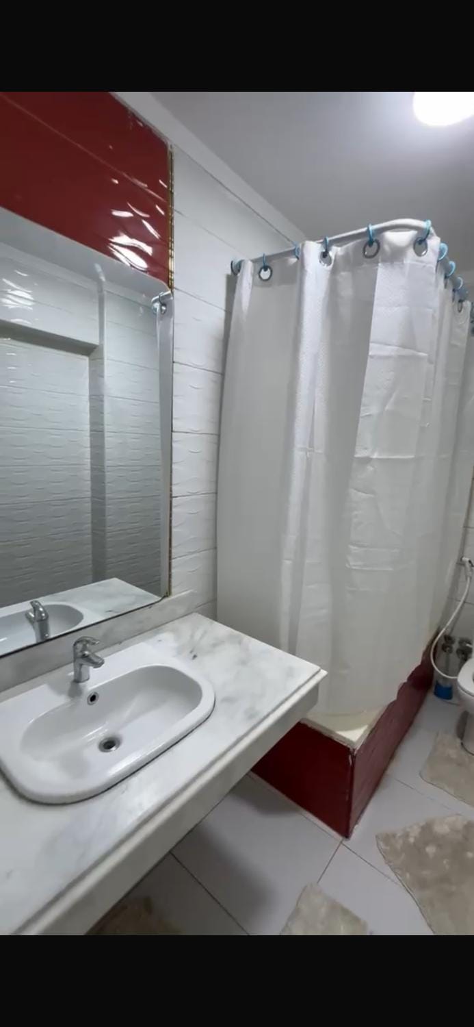شقه فندقيه بالمهندسين Apartment in Egypt