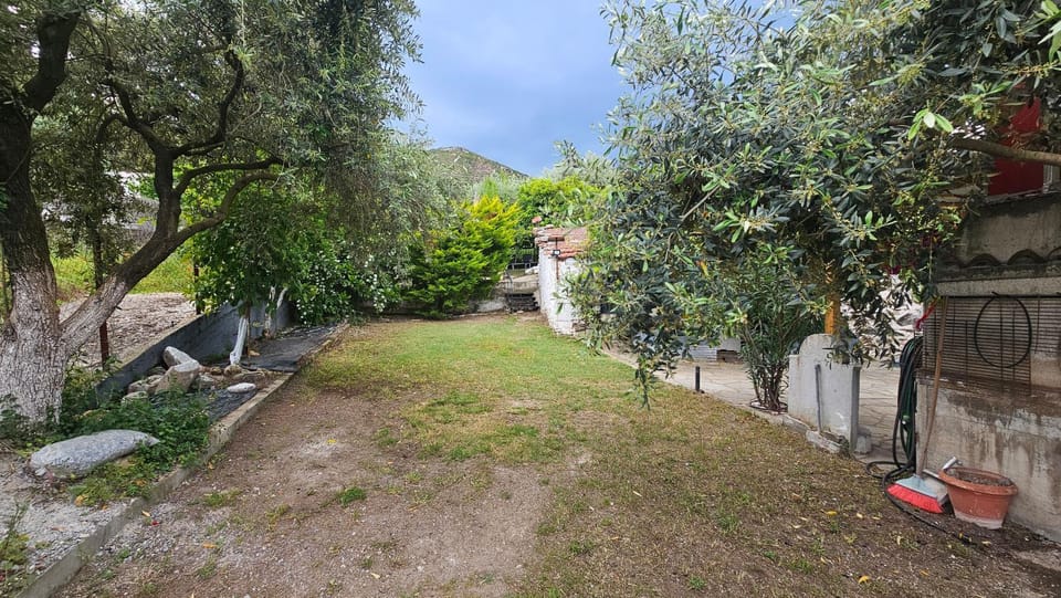 Facade/entrance, Garden